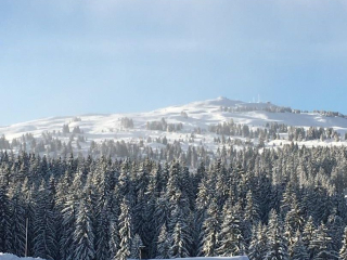 STUDIO COSY-LES SAISIES 