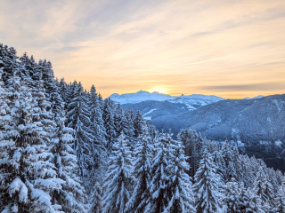 4 pièces duplex 85m2  (6 couchages adulte + 1 lit d'appoint enfant) - LES SAISIES / Bisanne 1500- Résidence MGM "Les Alpages de Bisanne"/Piscine chauffée/pied des pistes. 