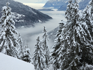 Chalet la Tulipe appartement 10 p/12