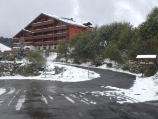 LE  CRISTAL DES NEIGES