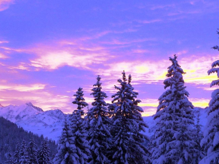 Appartement Mirantin  sur les pistes des Saisies et de l'espace diamant.